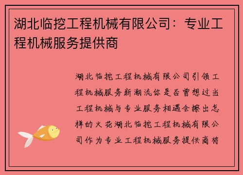 湖北临挖工程机械有限公司：专业工程机械服务提供商